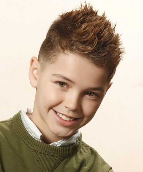 Short Straight   Caramel   Hairstyle for Men